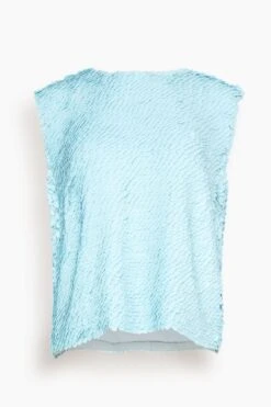 Dries Van Noten Como Embroidered Top In Light Blue